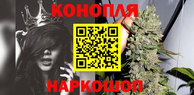 спиды Краснодар