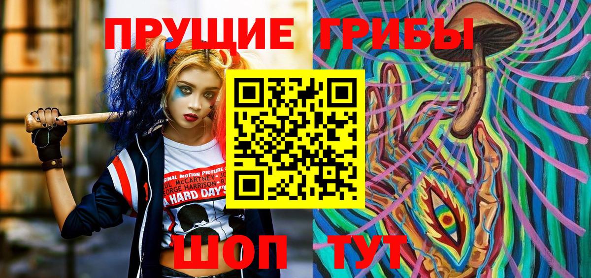Ишим  Псилоцибиновые грибы Magic Shrooms  Вход с VPN  Псилоцибиновые грибы Psilocybe 